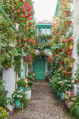 A Cordoban patio adorned with flowers in spring