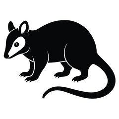 Obraz premium Black silhouette of a cute opossum animal