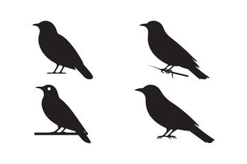 Obraz premium Bird Sitting Silhouettes