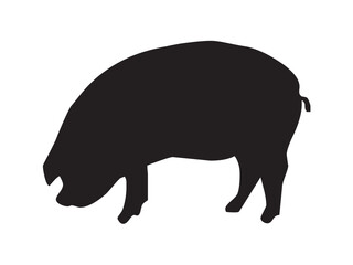 Vector isolated one single pig side view full body colorless black and white outline silhouette shadow shape stencil solid black