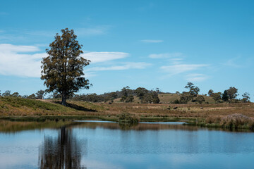 Australian irrigation Farm dam. Water Source for Livestock Grazing and Sustainable Agriculture in a Picturesque Rural Landscape