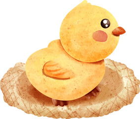 watercolor chick