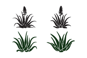 Aloe Vera Plant Silhouettes