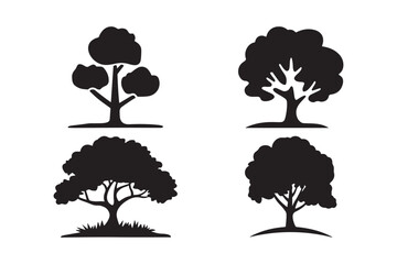 Mature Tree Silhouettes