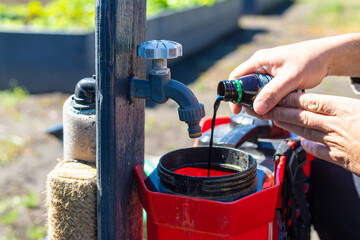 Spraying potatoes against Colorado potato beetles. Selective focus.
