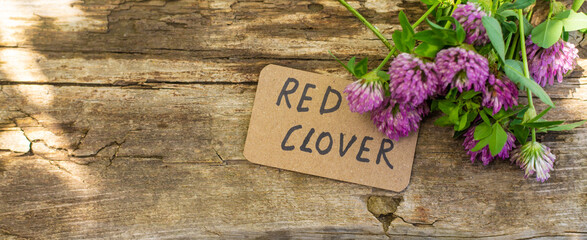 Red Clover Extract and Supplements. Selective Focus.