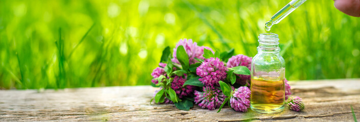 Red Clover Extract and Supplements. Selective Focus.