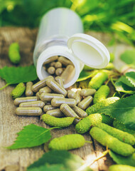 birch buds extract and supplements. Selective focus.