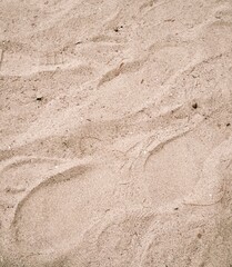 Footprints and Tire Tracks in the Sand A Textured Beach Scene