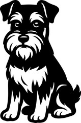 black and white puppy