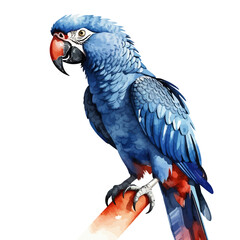 Watercolor Blue Macaw Art-Vibrant Tropical Bird Illustration-Exotic Parrot Painting-Colorful Avian Design-Perfect for Nature Lovers-Detailed Feather Artwork