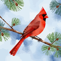 Watercolor Cardinal Bird Art - Vibrant Red Cardinal Perched on Pine Branch - Beautiful Bird Illustration for Nature Lovers and Holiday Decor - Detailed Feathered Friend Design