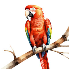 Watercolor Red Macaw Parrot Illustration-Tropical Bird Art on a Branch-Vibrant Exotic Bird Painting-Nature Inspired Decor-Colorful Wildlife Artwork