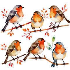 Watercolor Robin Birds on Branches-Cute Bird Art-Winter Bird Illustration-Festive Holiday Decor-Nature Inspired Artwork-Robin Family Design