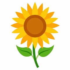 Fototapeta premium Simple Sunflower Illustration with Yellow Petals Brown Center Green Stem and Leaves on a White Background