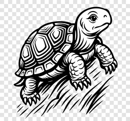 A black and white drawing of a turtle