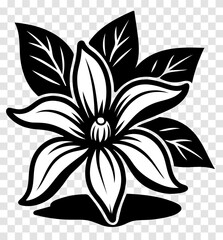 A black and white flower with a white center