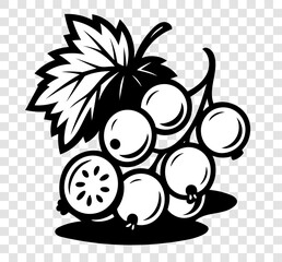 A black and white drawing of a bunch of white currant berries with a leaf on top.