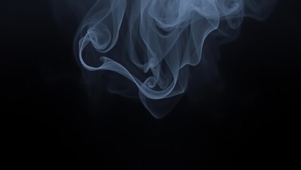 Fototapeta premium smoke on black background