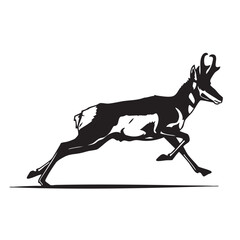 Pronghorn Antelope Running Black and White Wildlife Illustration