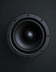  A black speaker set against a dark backdrop, highlighting its elegant shape and contemporary style.