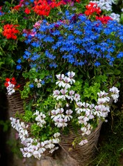 Colorful flower baskets in a garden.