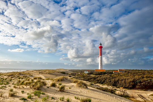 La Coubre Lighthouse among sand dunes, an example of acute shoreline recession, coastal erosion, near La Tremblade and Royan, France, South-West, Atlantic Coast