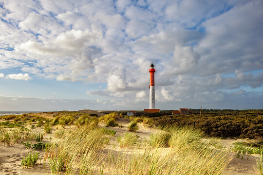 La Coubre Lighthouse among sand dunes, an example of acute shoreline recession, coastal erosion, near La Tremblade and Royan, France, South-West, Atlantic Coast