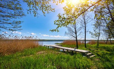 Wooden pier on a sunny summer day by the lake with reeds and trees.