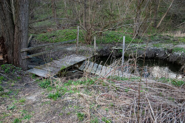 A small creek runs through a ravine in a forest. An old broken wooden footbridge rests on a concrete ring in the stream. Dry thorny bushes and debris on the muddy banks.