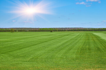 Green mowed field under blue sky with forest on horizon