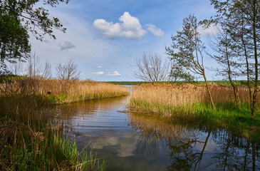 Sunny morning on lake channel with reeds, trees, and reflections.
