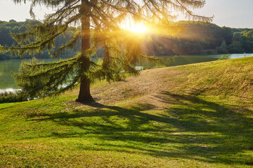 Scenic Lakeside View with Rolling Hills and Trees