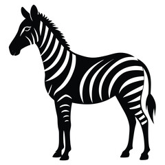 Fototapeta premium Elegant black and white zebra silhouette