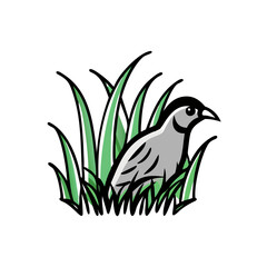 vector illustration of a bird