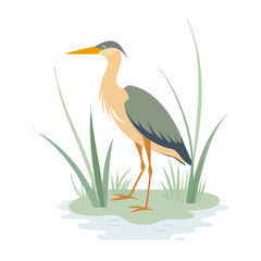 great blue heron ardea cinerea