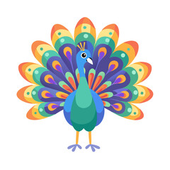 vector illustration of peacock