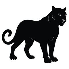 Obraz premium Majestic black panther silhouette standing proud