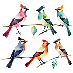 Fototapeta premium Colorful Watercolor Birds Illustration- Whimsical Bird Art on Branches- Nature Inspired Design for Prints and Home Decor- Perfect Gift for Bird Lovers