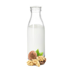 Nut milk in glass bottle and walnuts isolated on white
