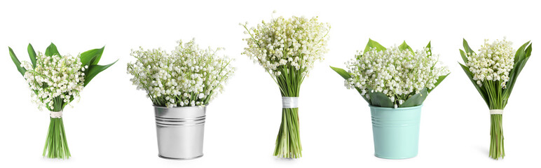 Aromatic bouquets of lily of the valley flowers isolated on white, collage