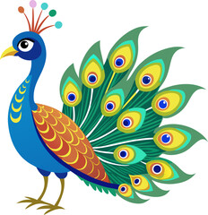 peacock on white background