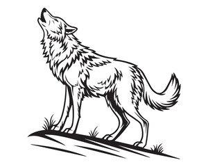 Fototapeta premium A black and white line drawing of a full wolf in profile view isolated on transparent background