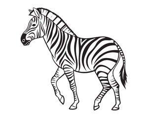A black and white line drawing of a full zebra in profile view isolated on transparent background, PNG

