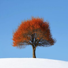 Lonely tree with orange leaves on a white hill