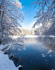A frosty winter river landscape