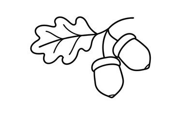 Simple line drawing of oak leaf and acorns