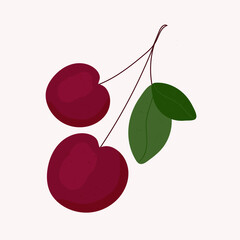 Cherry berry isolated object on white background. Print or coupon for printing on fabric and paper. Vector illustration