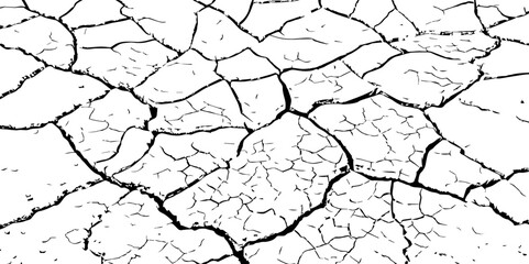 The white background features irregular patterns resembling parched earth.Gray textured background with blank space.Cracked white background with a dry, textured style.	