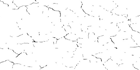Fototapeta premium Closeup of dry fissure ground. White dried and cracked ground earth background.Gray crack on earth texture. erosion.